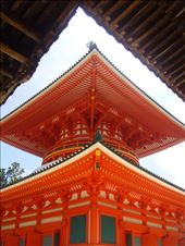 by thomasz, Views[110]