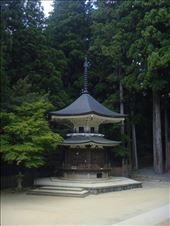 by thomasz, Views[121]