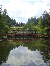 by thomasz, Views[131]