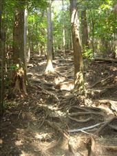 by thomasz, Views[104]