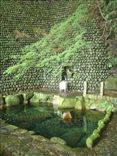 by thomasz, Views[107]