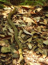 by thomasz, Views[132]