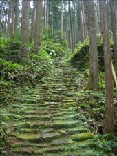 by thomasz, Views[128]