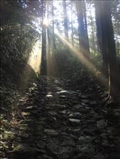 by thomasz, Views[217]