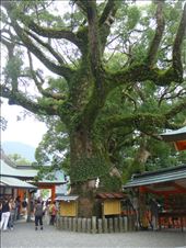 by thomasz, Views[212]