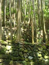 by thomasz, Views[195]