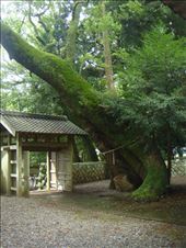 by thomasz, Views[220]