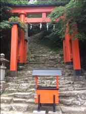 by thomasz, Views[226]