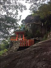 by thomasz, Views[215]