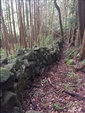 by thomasz, Views[251]