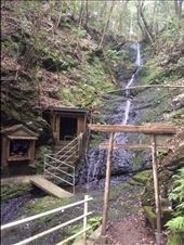 by thomasz, Views[645]