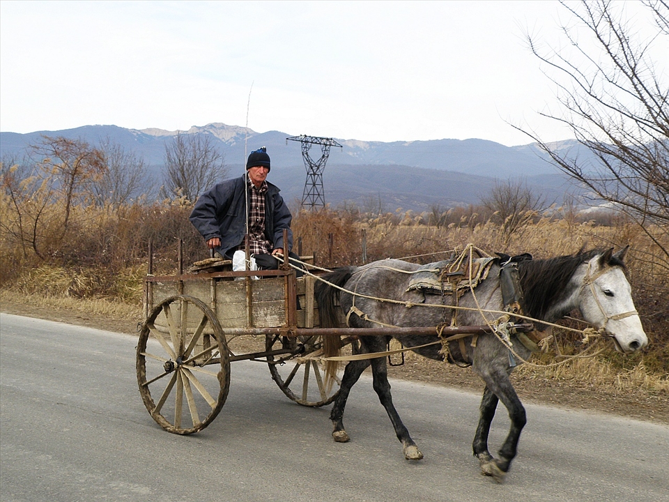 Horse is a very popular transport in countryside. Peasant is going to field.