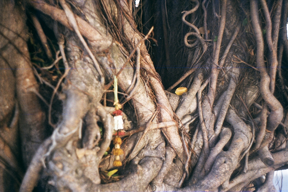 In the midst of fake you can see little gimps of authentic and real life. 