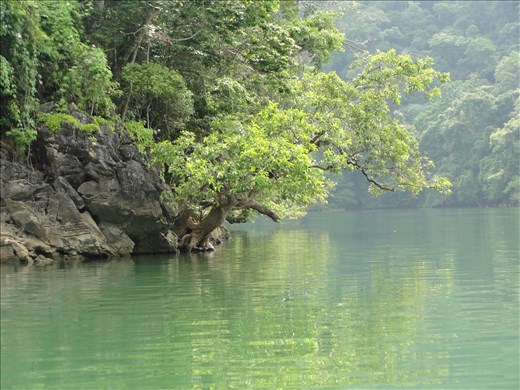 The value of biodiversity and tourism of Ba Be National Park, Vietnam