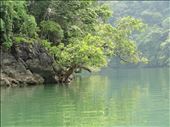 The value of biodiversity and tourism of Ba Be National Park, Vietnam: by thuynguyen, Views[607]
