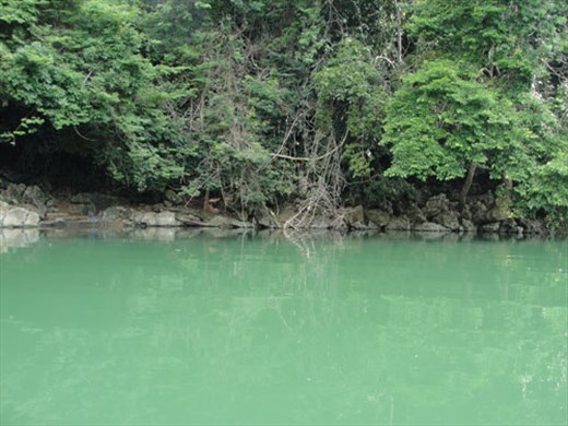 Biodiversity value of Babe National Park