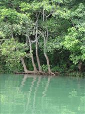 Biodiversity value of Babe National Park: by thuynguyen, Views[183]