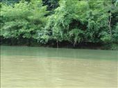 Two color river: by thuynguyen, Views[208]