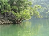 Biodiversity value of Babe National Park: by thuynguyen, Views[292]