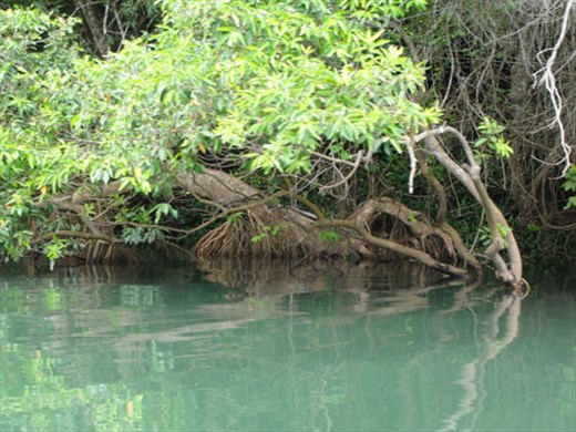Biodiversity value of Babe National Park