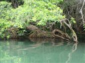 Biodiversity value of Babe National Park: by thuynguyen, Views[205]