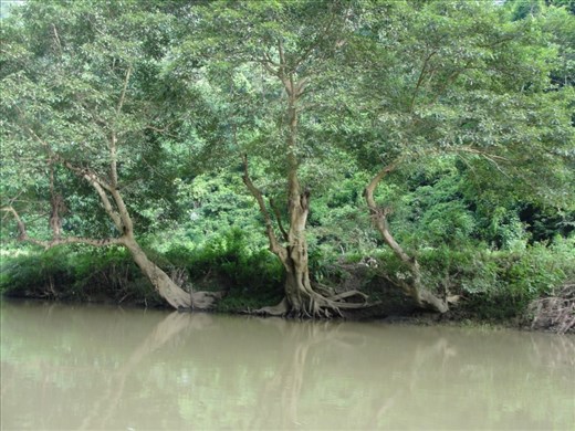 Biodiversity value of Babe National Park