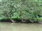 Biodiversity value of Babe National Park: by thuynguyen, Views[236]