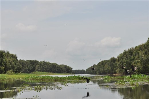 The value of biodiversity and tourism of Tram Chim National Park, Vietnam