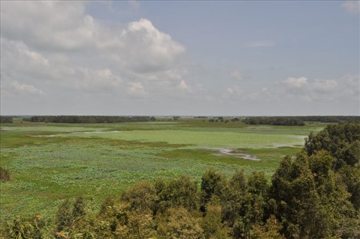 The value of biodiversity and tourism of Tram Chim National Park, Vietnam