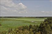 The value of biodiversity and tourism of Tram Chim National Park, Vietnam: by thuynguyen, Views[257]