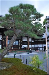 Japanese Temple: by thuynguyen, Views[160]