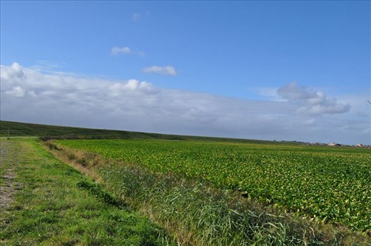Netherlands sea dike