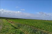 Netherlands sea dike: by thuynguyen, Views[136]