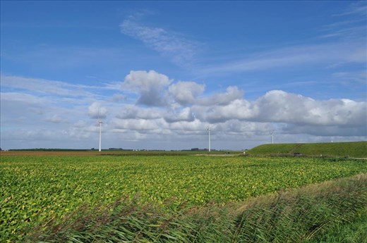 Netherlands sea dike