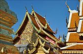 Golden Temple in Chiang Mai, ThaiLan: by thuynguyen, Views[240]