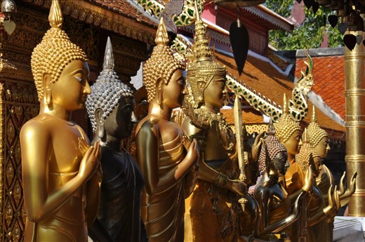 Golden Temple in Chiang Mai, ThaiLan