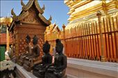 Golden Temple in Chiang Mai, ThaiLan: by thuynguyen, Views[256]