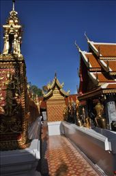 Golden Temple in Chiang Mai, ThaiLan: by thuynguyen, Views[352]