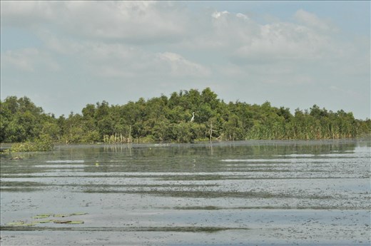 Landscape biodiversity of national parks