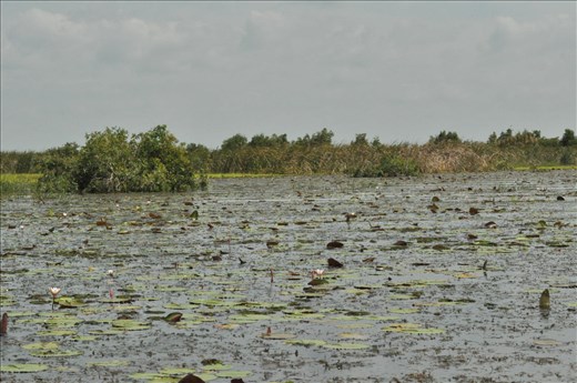 Landscape biodiversity of national parks