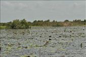 Landscape biodiversity of national parks: by thuynguyen, Views[245]