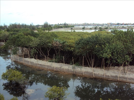 Tam Giang Cau Hai Lagoon, Vietnam