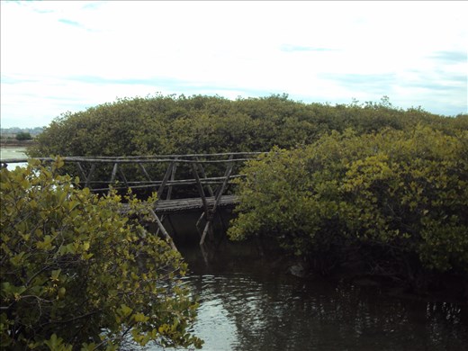 Tam Giang Cau Hai Lagoon, Vietnam