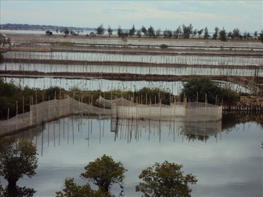 Tam Giang Cau Hai Lagoon, Vietnam