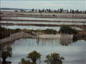Tam Giang Cau Hai Lagoon, Vietnam: by thuynguyen, Views[392]