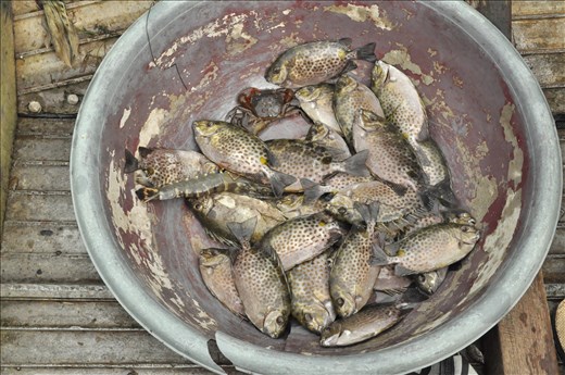 Tam Giang Cau Hai Lagoon, Vietnam