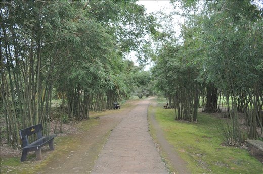 Vinh Moc Tunnels, Vietnam