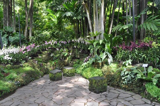 Where Convergence beautiful flowers and rare plants of the world