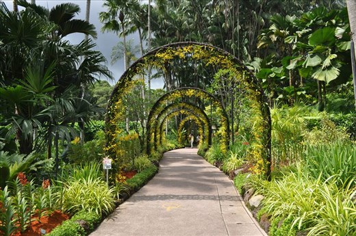 Where Convergence beautiful flowers and rare plants of the world