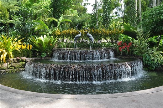 Where Convergence beautiful flowers and rare plants of the world